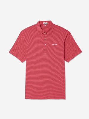 Pink Navy Stripe Sun Day Red Heritage Micro Stripe Polo | 82913-LHXC